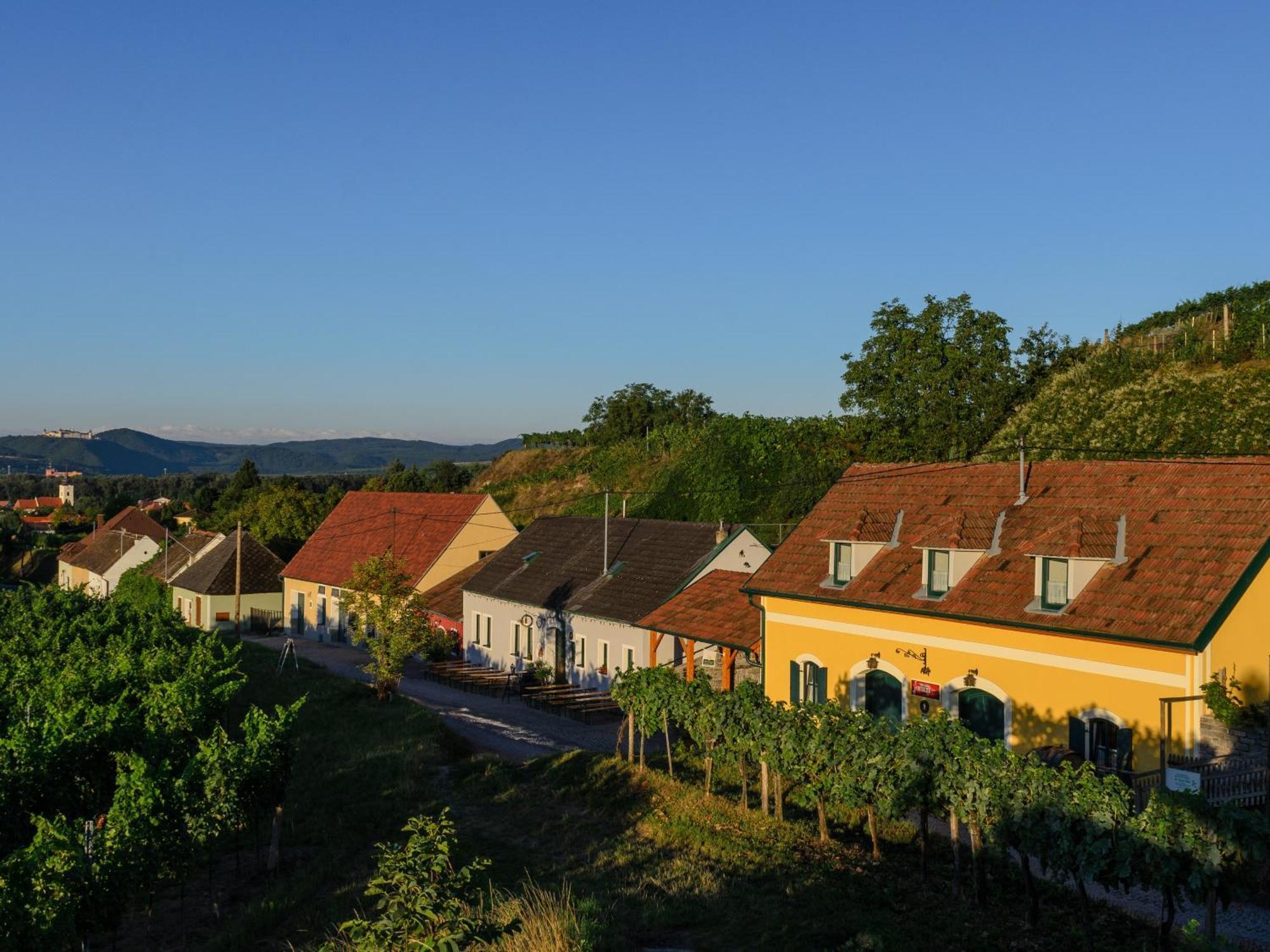 Gaestehaus Familie Trachsler Hotel Rohrendorf bei Krems Buitenkant foto