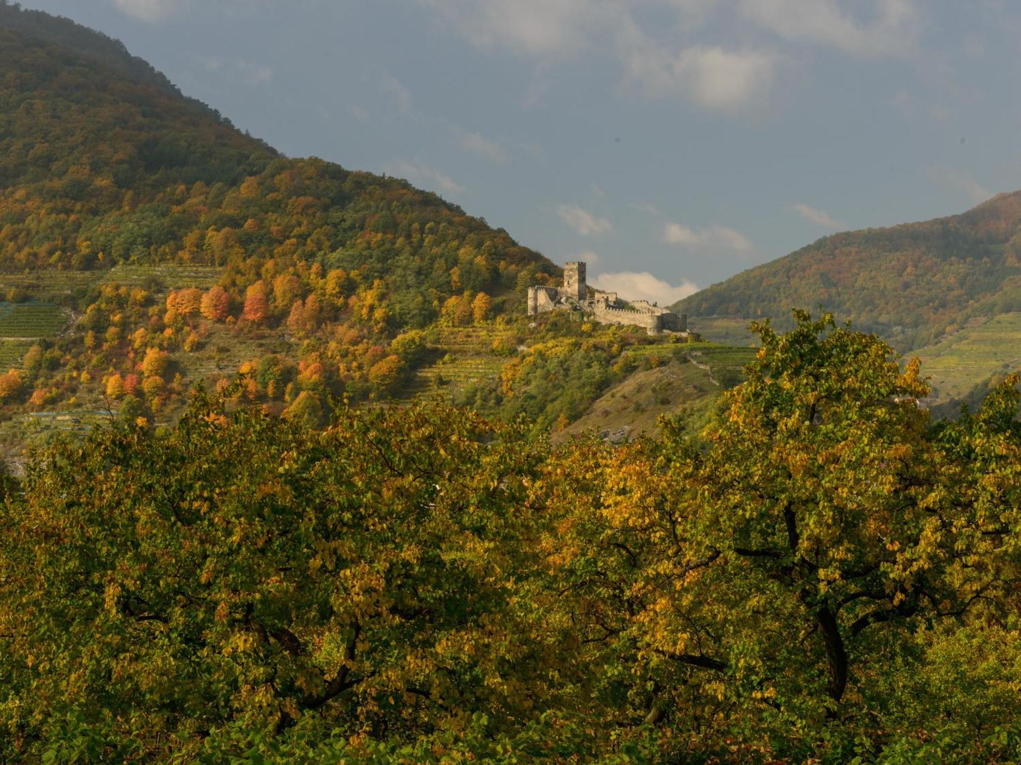 Gaestehaus Familie Trachsler Hotel Rohrendorf bei Krems Buitenkant foto