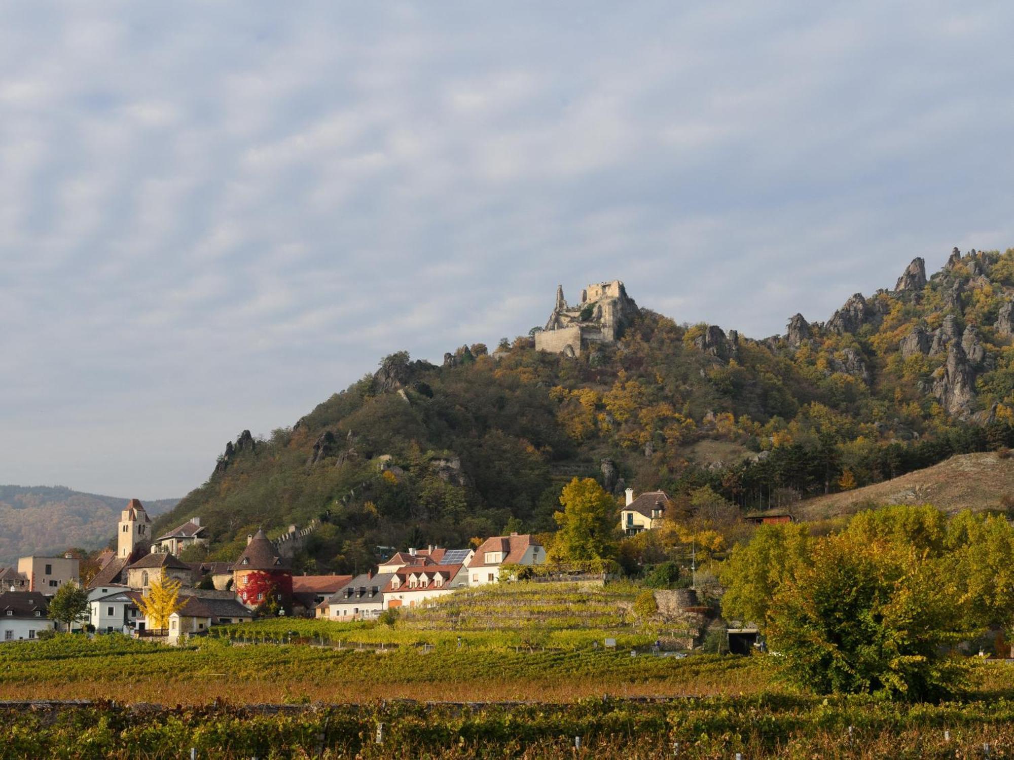 Gaestehaus Familie Trachsler Hotel Rohrendorf bei Krems Buitenkant foto